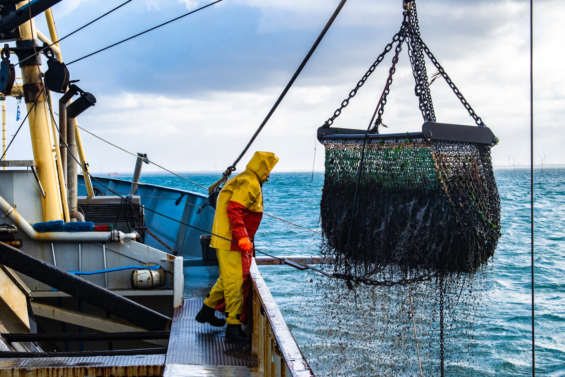 Yogyakarta’s Fishery Exports Reach IDR 28 Billion Amid PPKM Restrictions